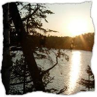 Relax at hungry Jack Lodge
